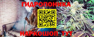 ешки Железноводск