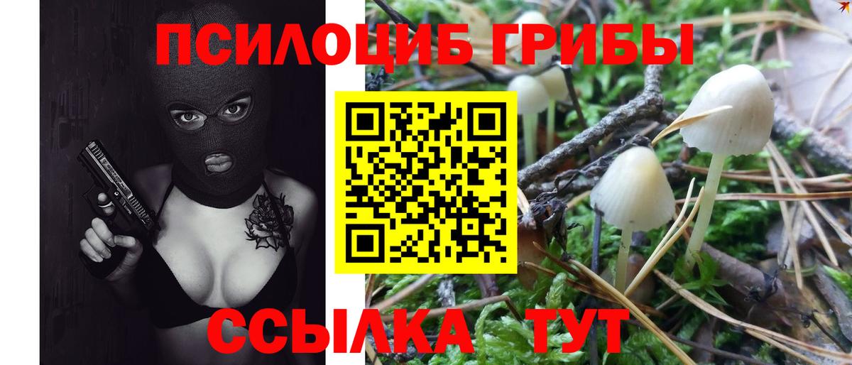 Курчатов  Галлюциногенные грибы MAGIC MUSHROOMS  Галлюциногенные грибы Psilocybine cubensis  Вход с VPN 